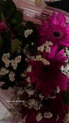diana.minaev_ Altpins Profile Picture