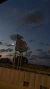 diana.minaev_ Altpins Profile Picture