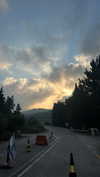 diana_rizz Altpins Profile Picture