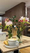 dianavgalvis Altpins Profile Picture