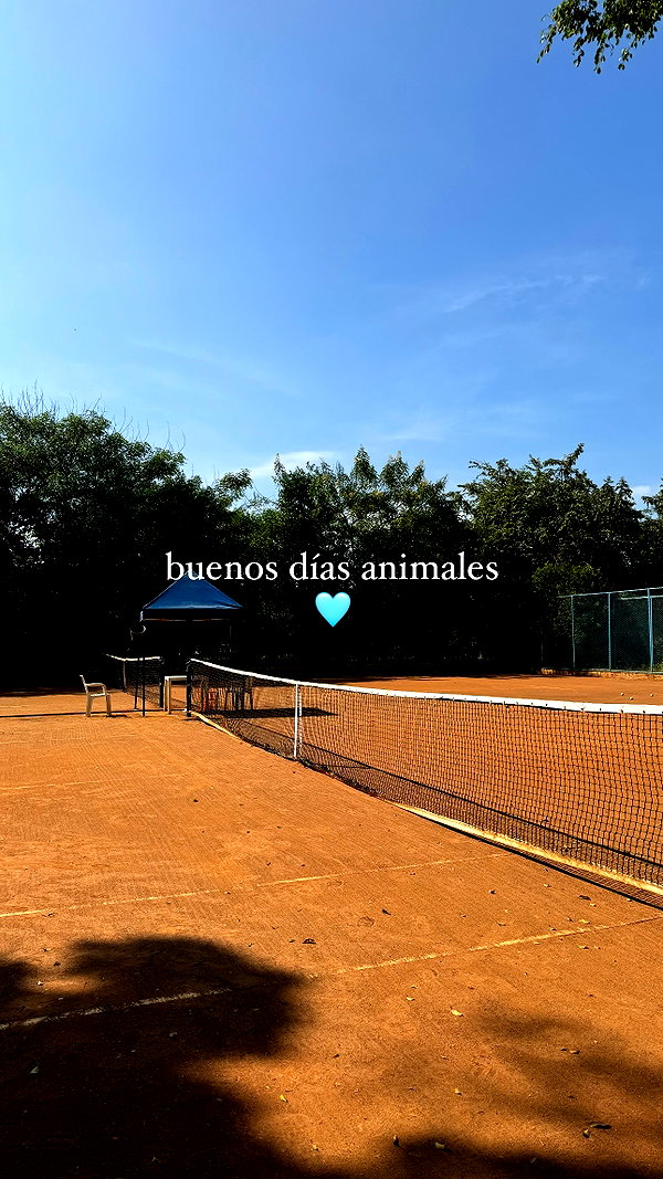 dianavgalvis instagram image archive image