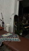 dina_shrago Altpins Profile Picture