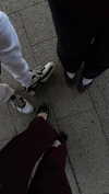 dina_shrago Altpins Profile Picture