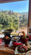 dina_shrago Altpins Profile Picture
