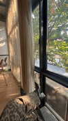 dina_shrago Altpins Profile Picture