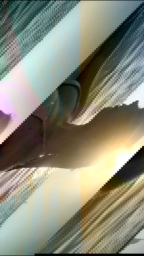 djami.lyalya djami.lyalya archive image