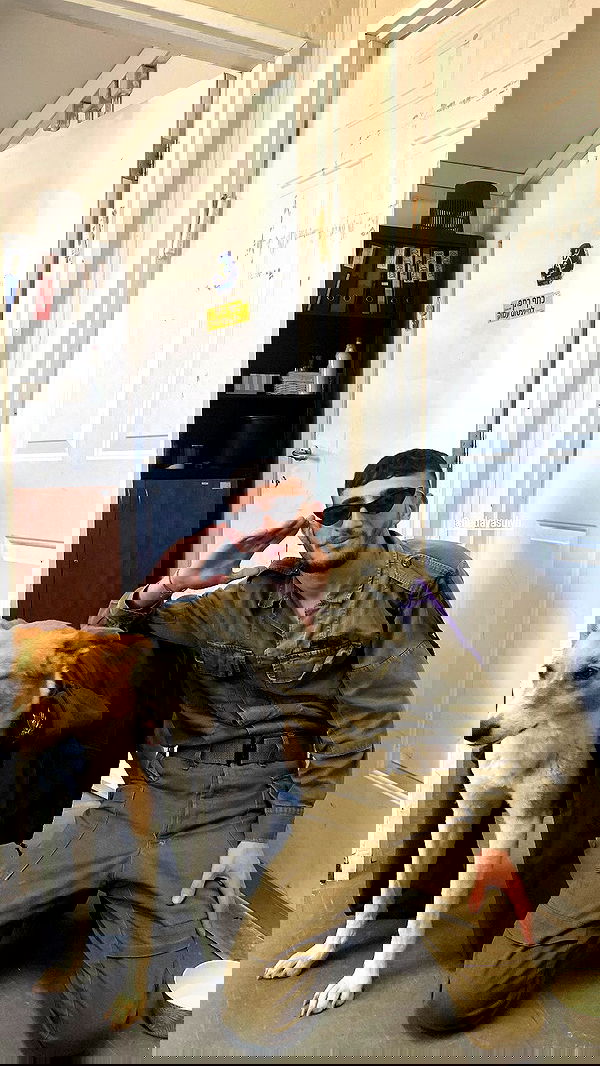 dustheadd dustheadd archive image