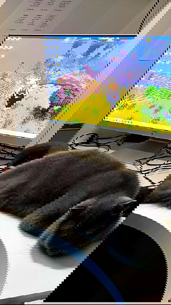 dustheadd dustheadd archive image