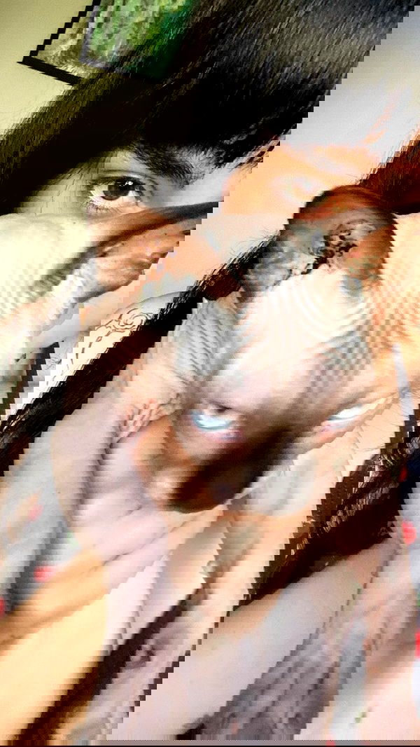 dustheadd dustheadd archive image