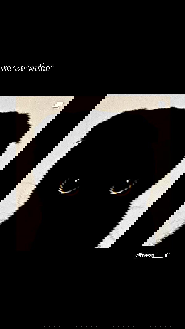 dustheadd dustheadd archive image