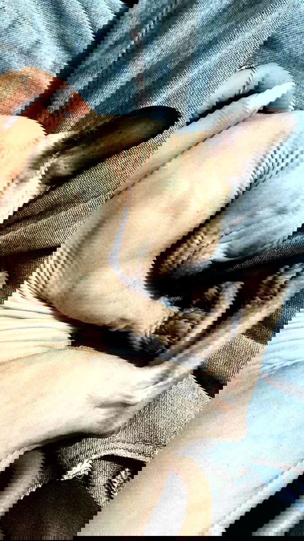 dustheadd dustheadd archive image