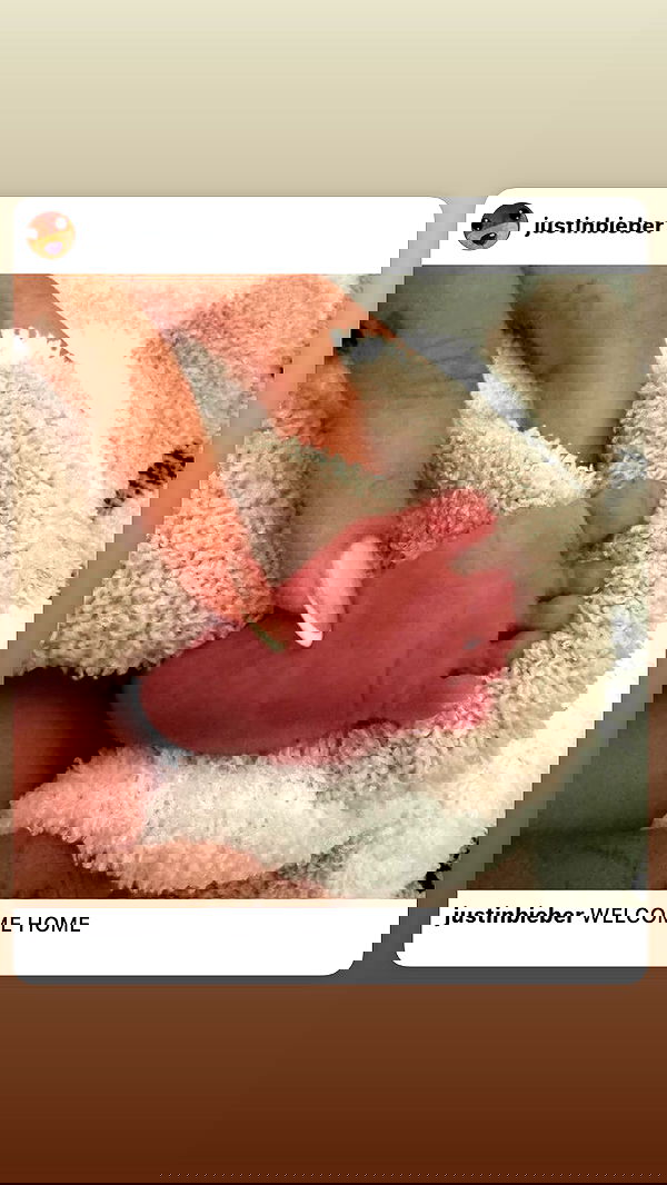 dustheadd dustheadd archive image