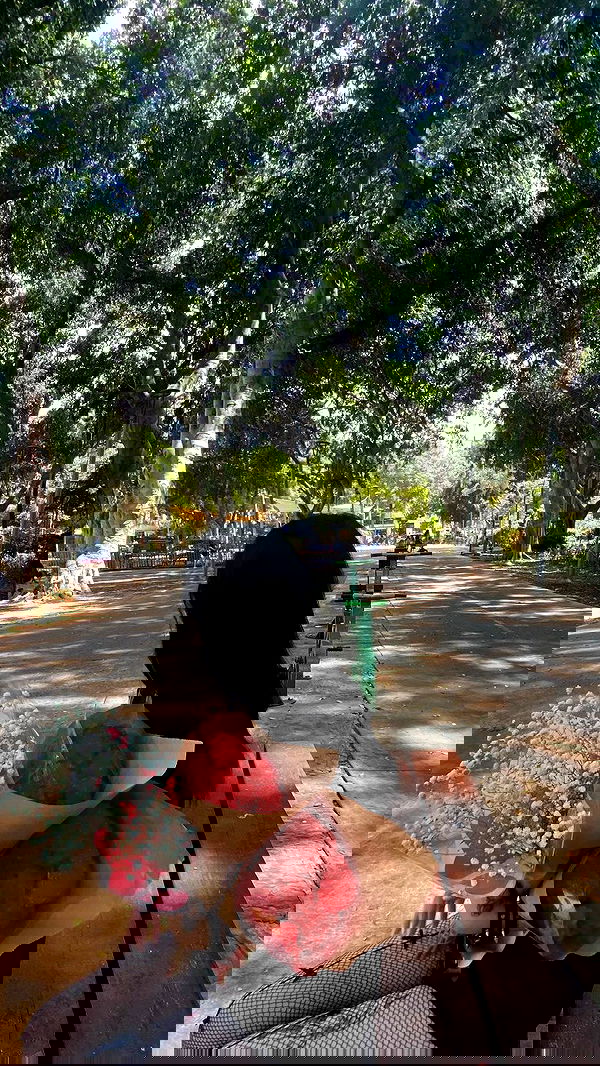 dustheadd dustheadd archive image