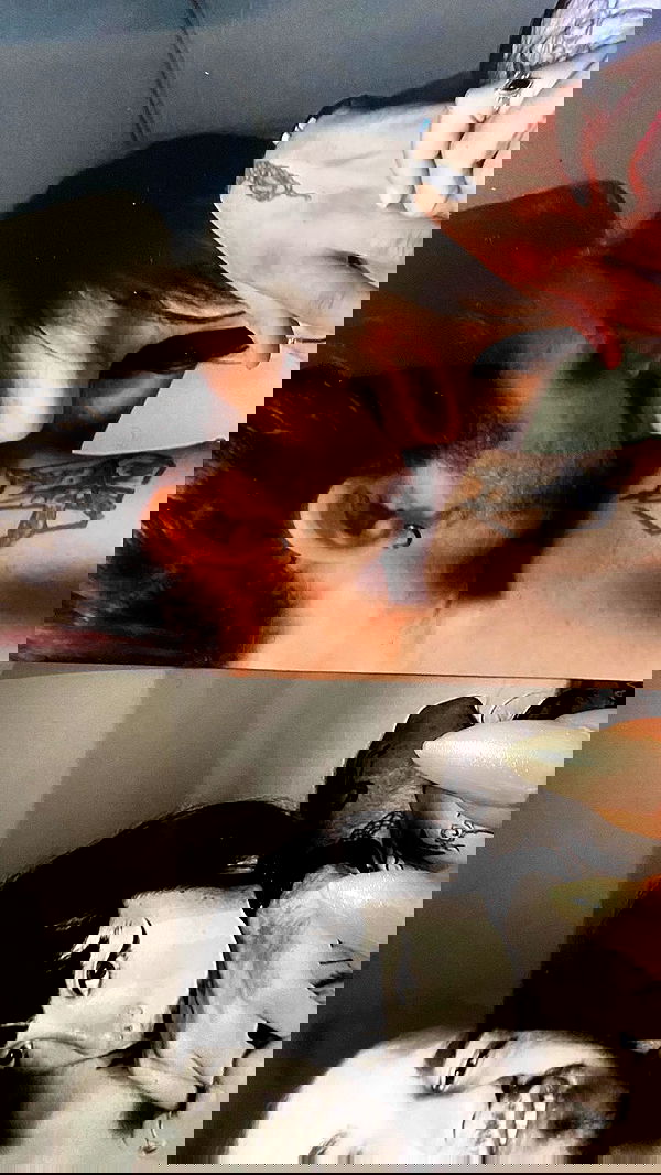 dustheadd dustheadd archive image