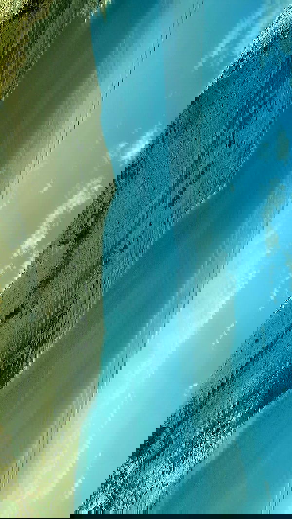 dustheadd dustheadd archive image