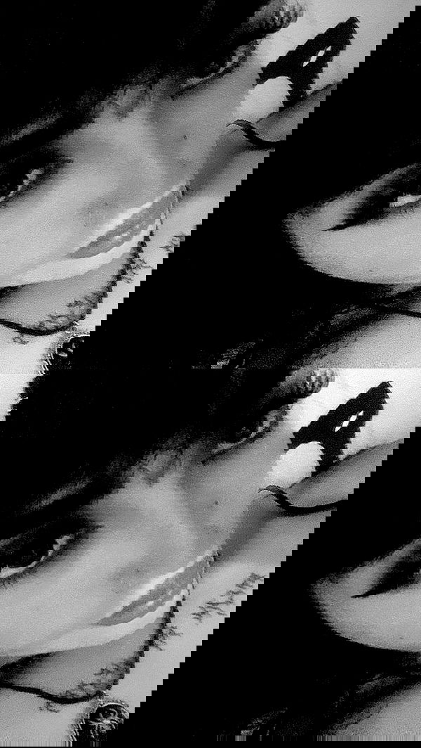 dustheadd dustheadd archive image