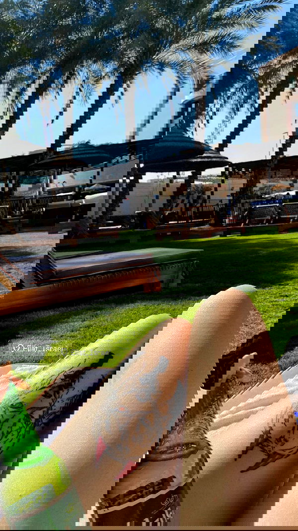 dustheadd dustheadd archive image