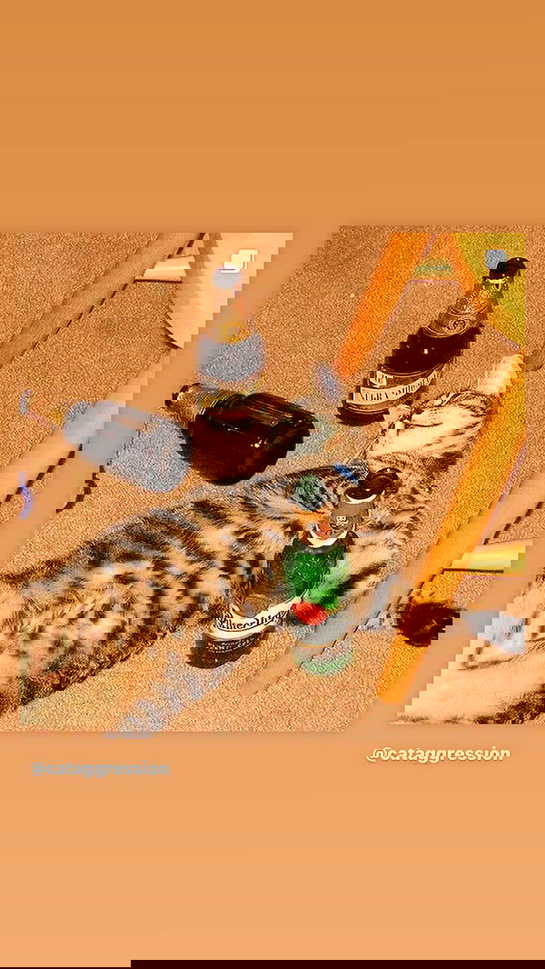 dustheadd dustheadd archive image