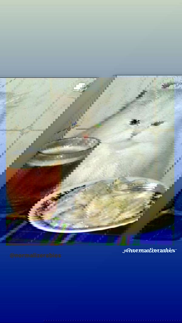 dustheadd dustheadd archive image