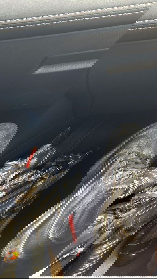 dustheadd dustheadd archive image