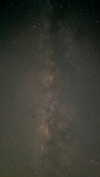 edin.karyn Altpins Profile Picture