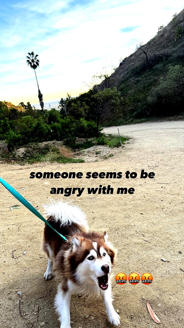 elebertoli instagram image archive image