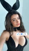 elebertoli Altpins Profile Picture