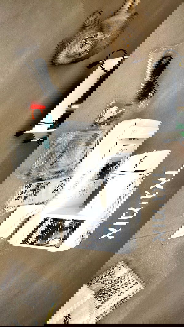 elianachetrit image ~ Altpins