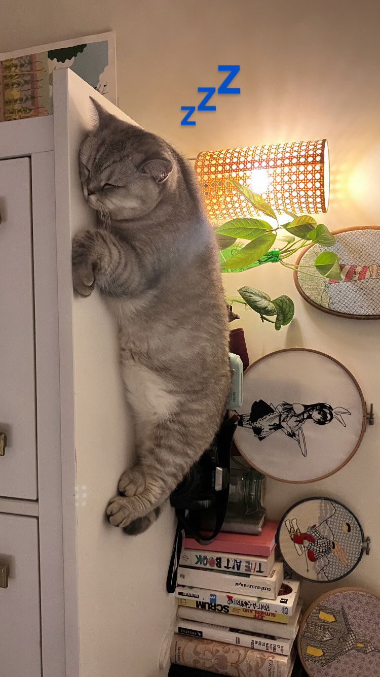 elianachetrit instagram image archive image