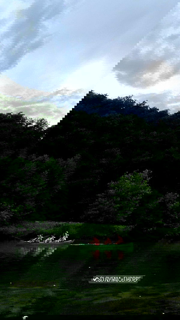 ellamwatts_ ellamwatts_ archive image