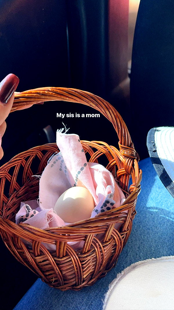 elliesorokin instagram image archive image