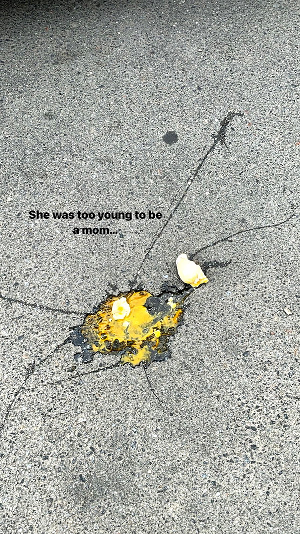 elliesorokin instagram image archive image