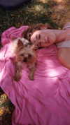 elliesorokin Altpins Profile Picture