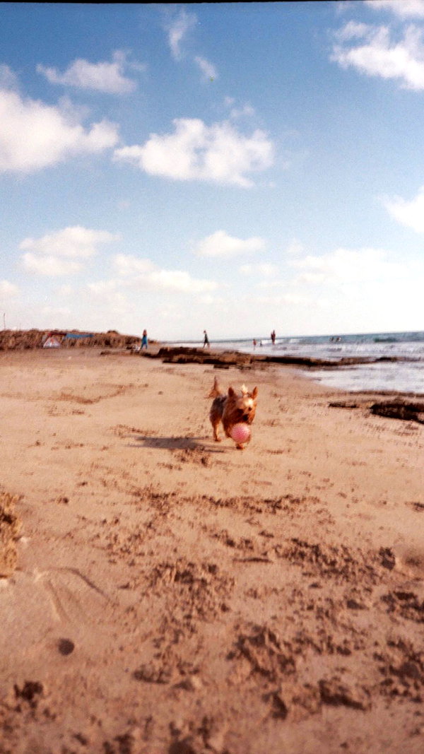 elliesorokin instagram image archive image