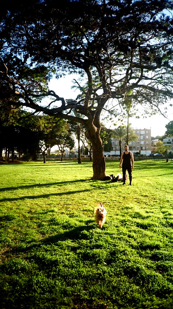 elliesorokin instagram image archive image