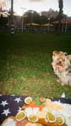 elliesorokin Altpins Profile Picture