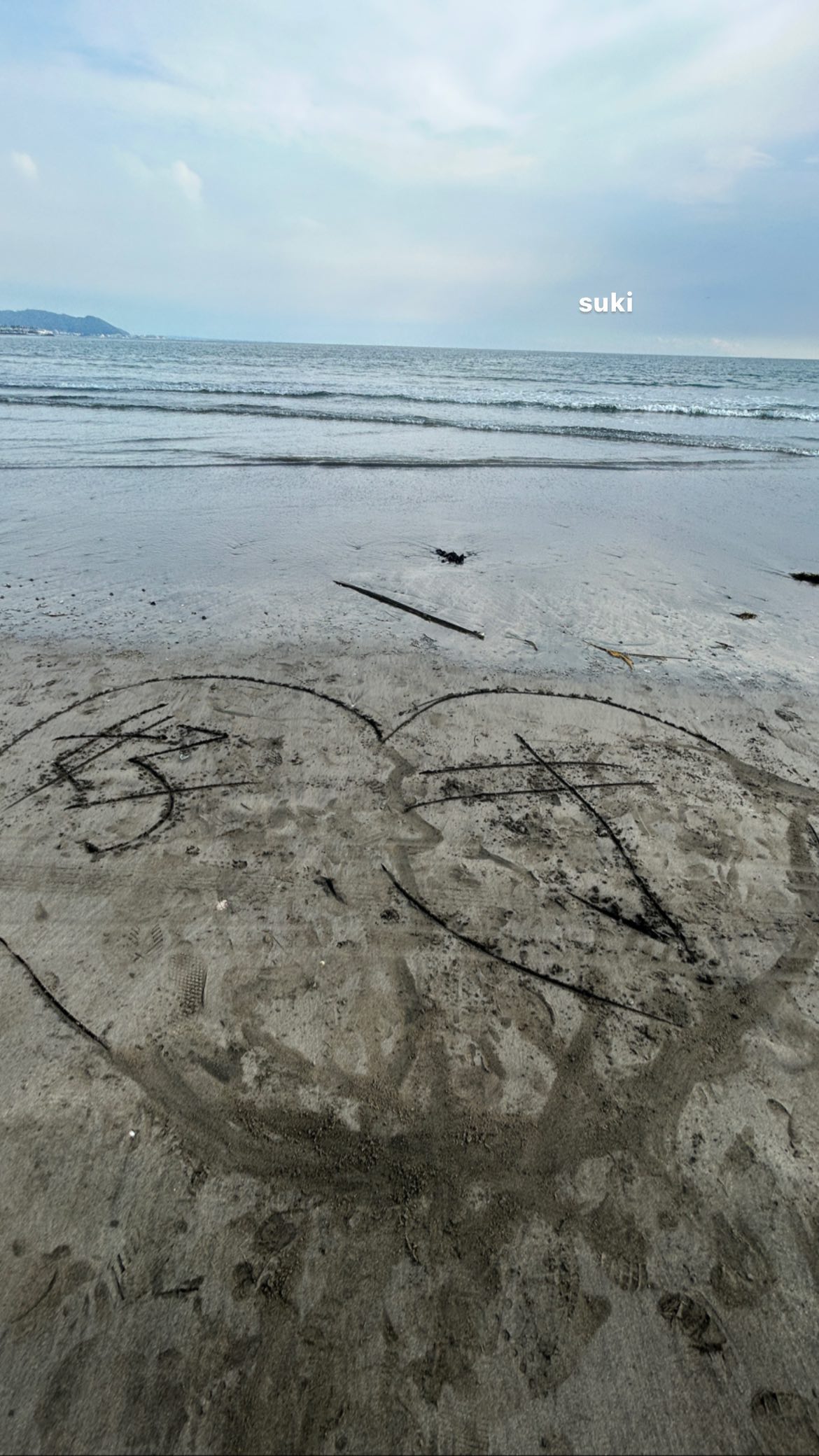 elsgatti instagram image archive image