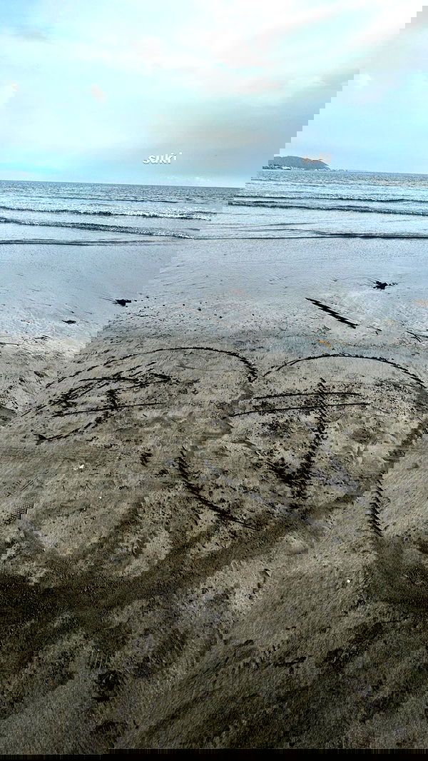 elsgatti image ~ Altpins