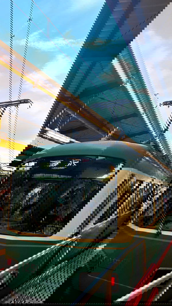 elsgatti image ~ Altpins