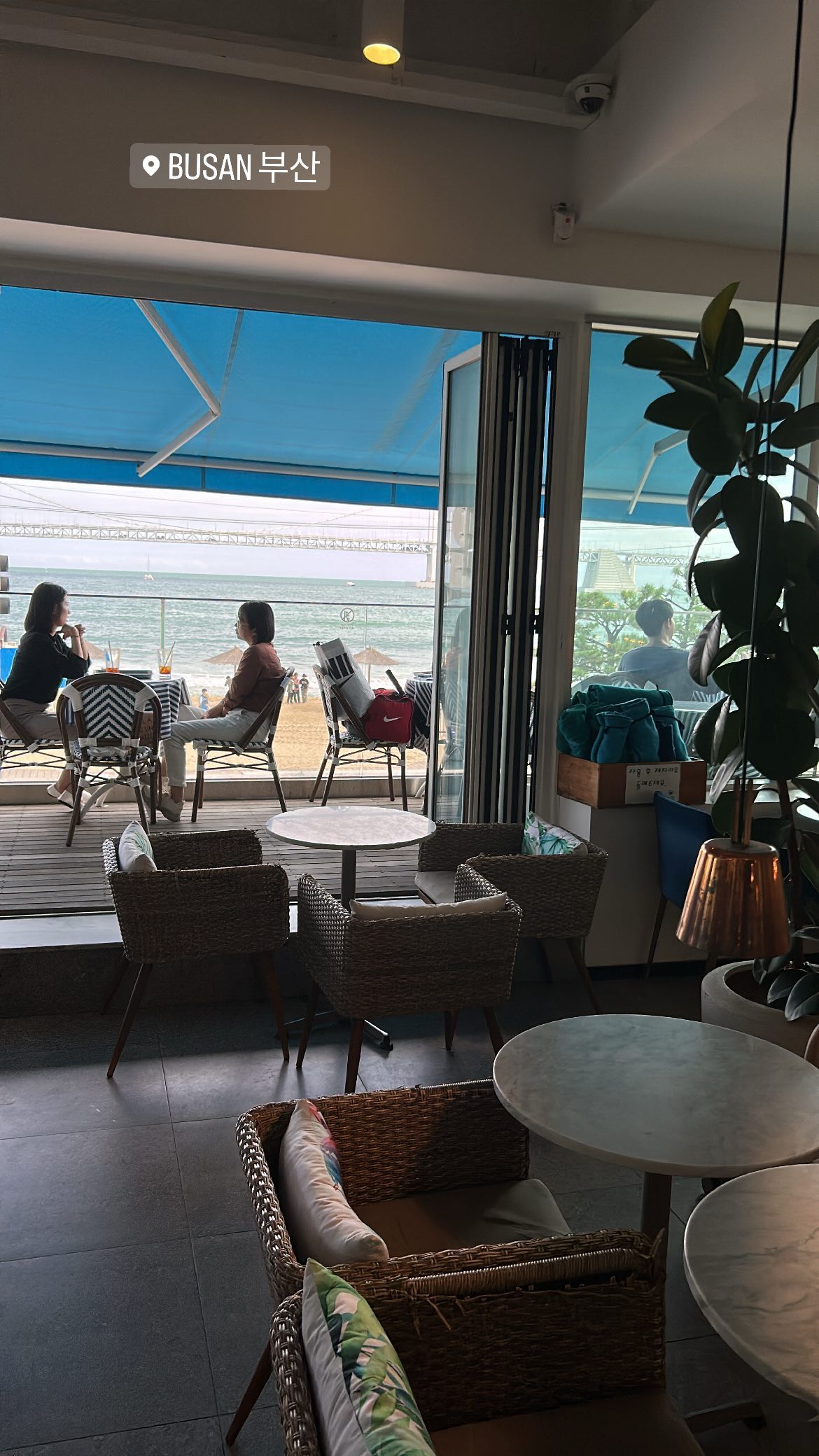 elsgatti instagram image archive image