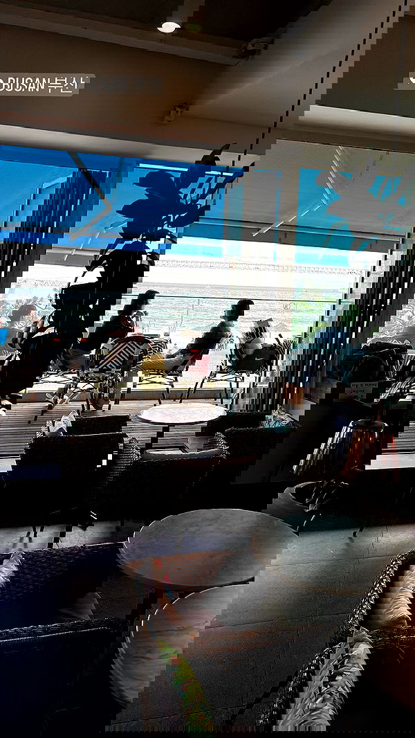 elsgatti image ~ Altpins