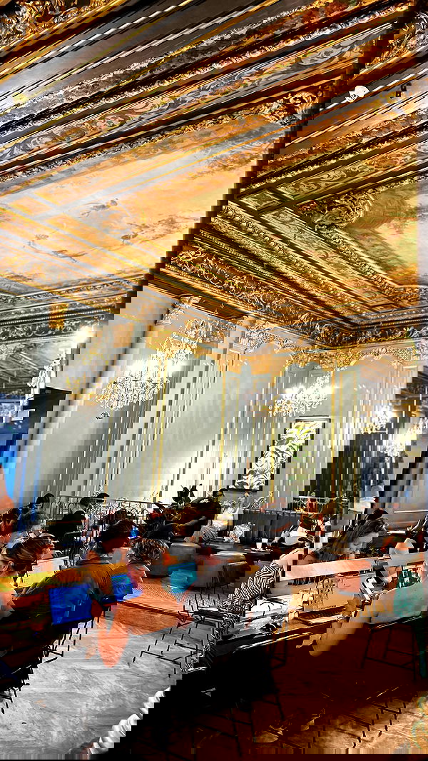 elsgatti image ~ Altpins