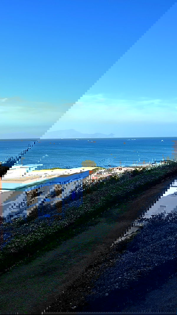 elsgatti image ~ Altpins