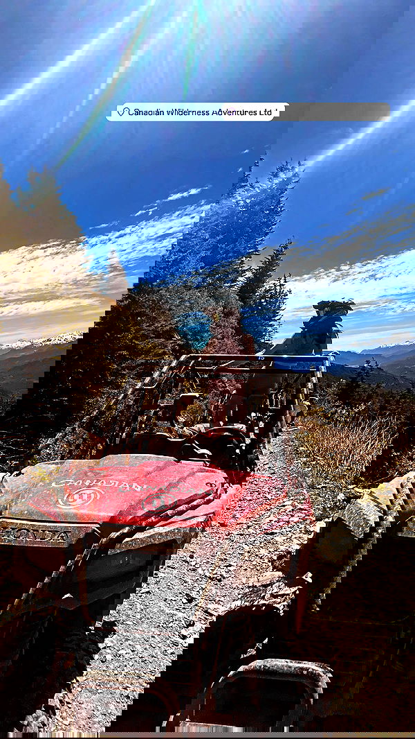 elsgatti image ~ Altpins