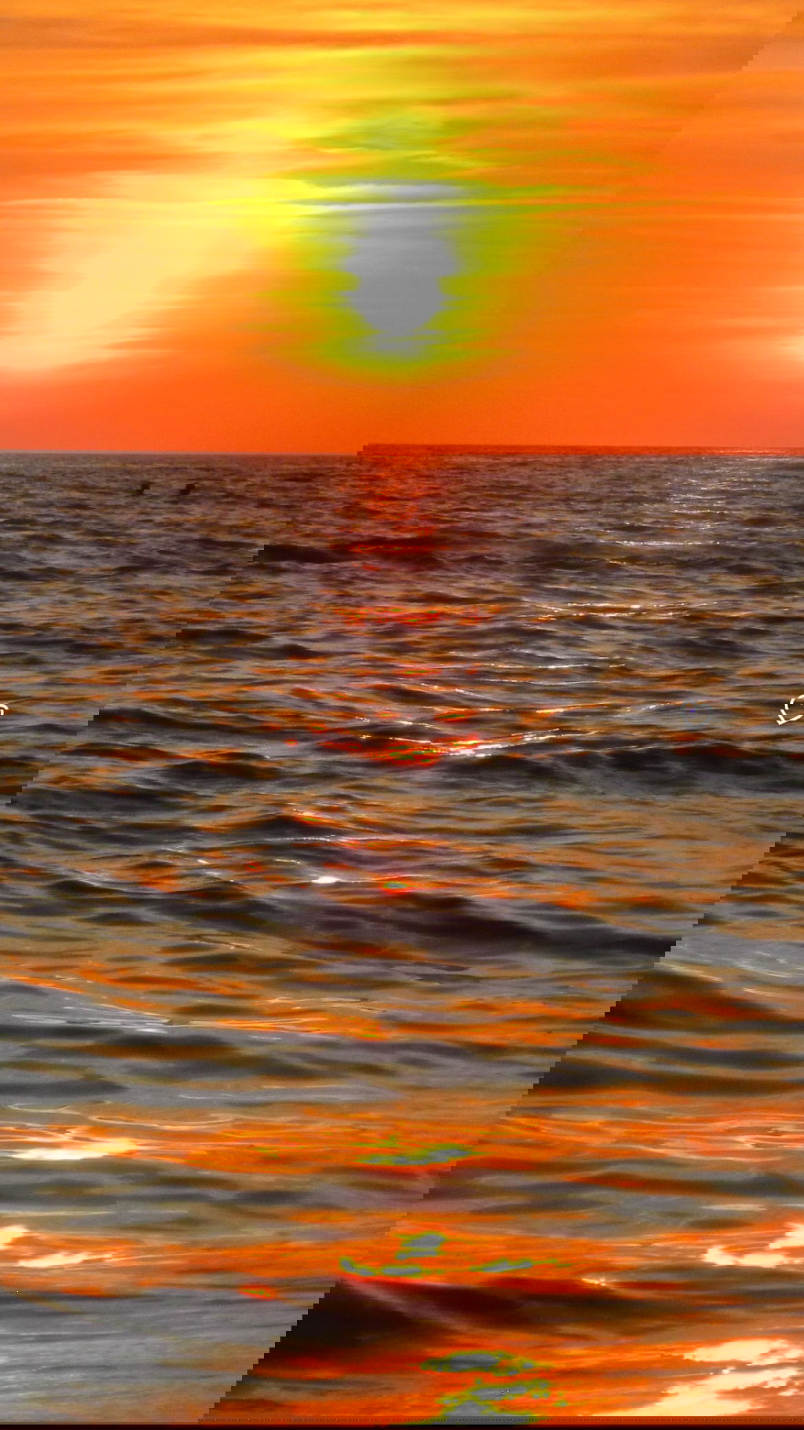 elsgatti instagram image archive image