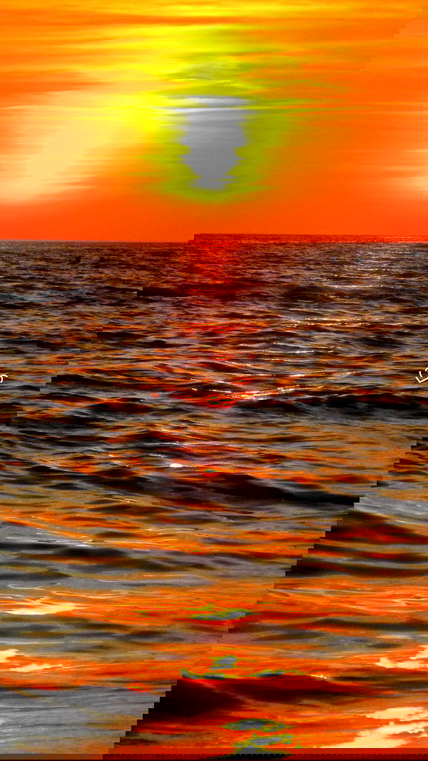 elsgatti image ~ Altpins