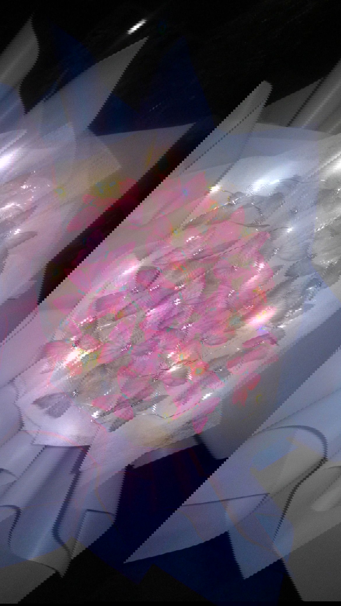 elsgatti instagram image archive image