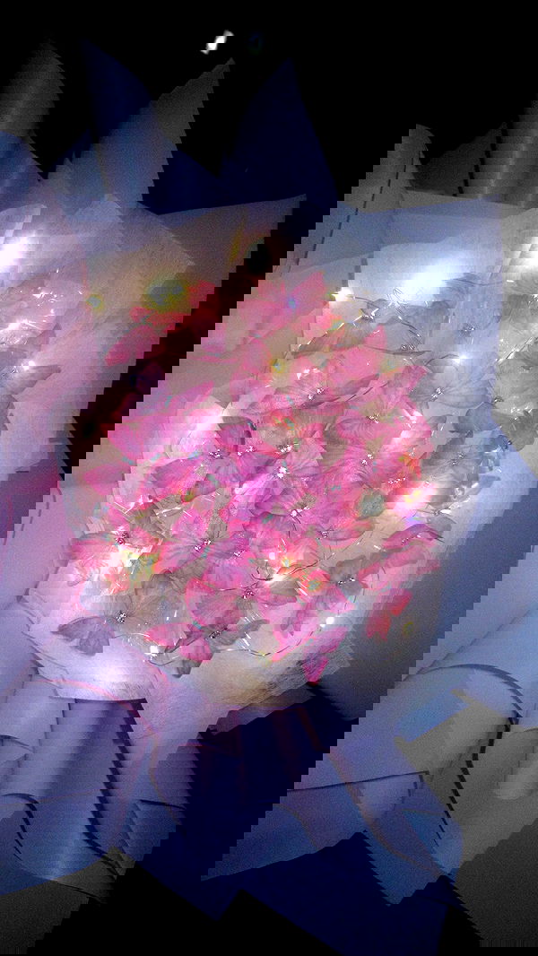 elsgatti image ~ Altpins