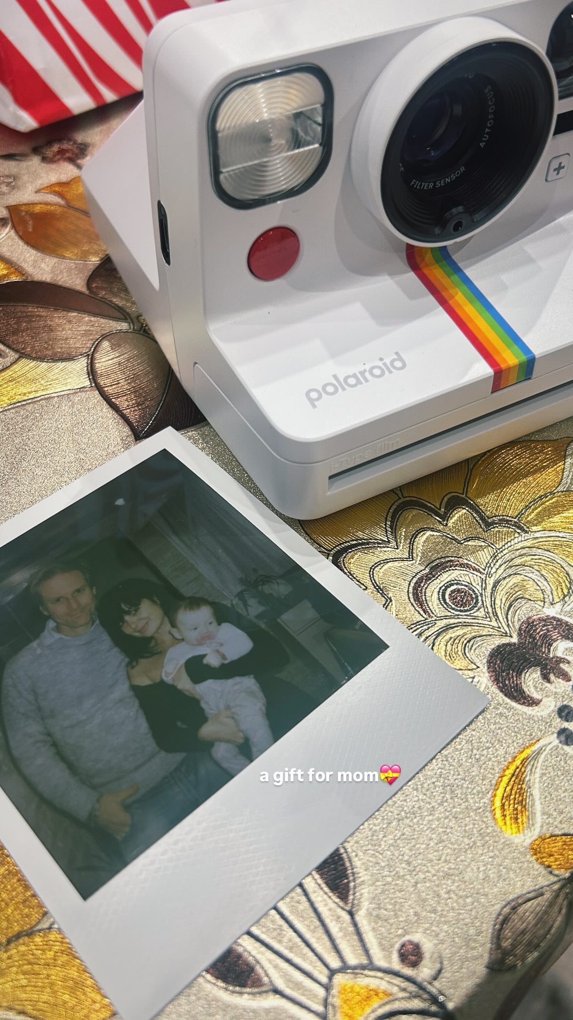 elsgatti instagram image archive image