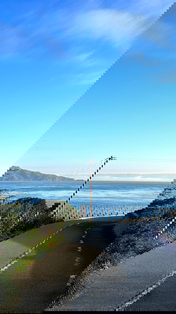 elsgatti image ~ Altpins